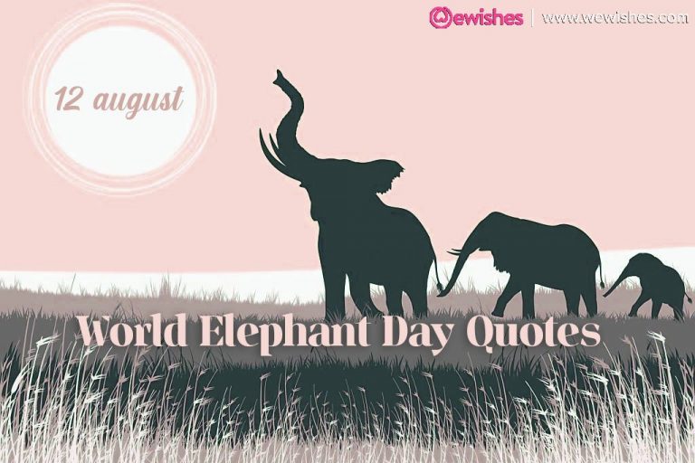 World Elephant Day: Top Quotes and Sayings | We Wishes