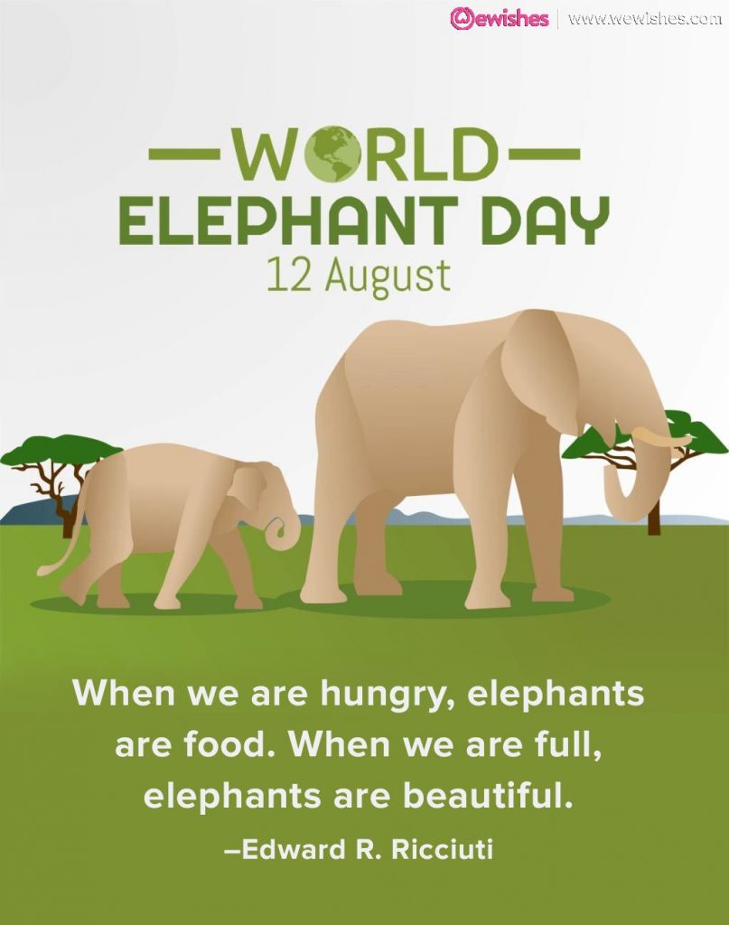 World Elephant Day quotes