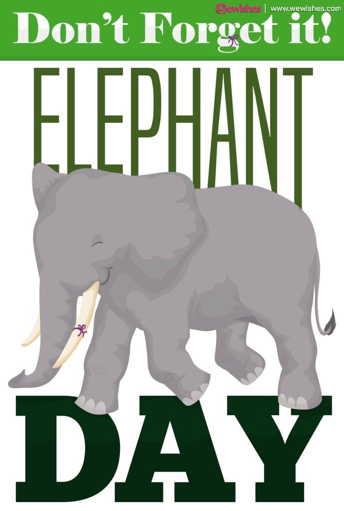 World Elephant Day quotes