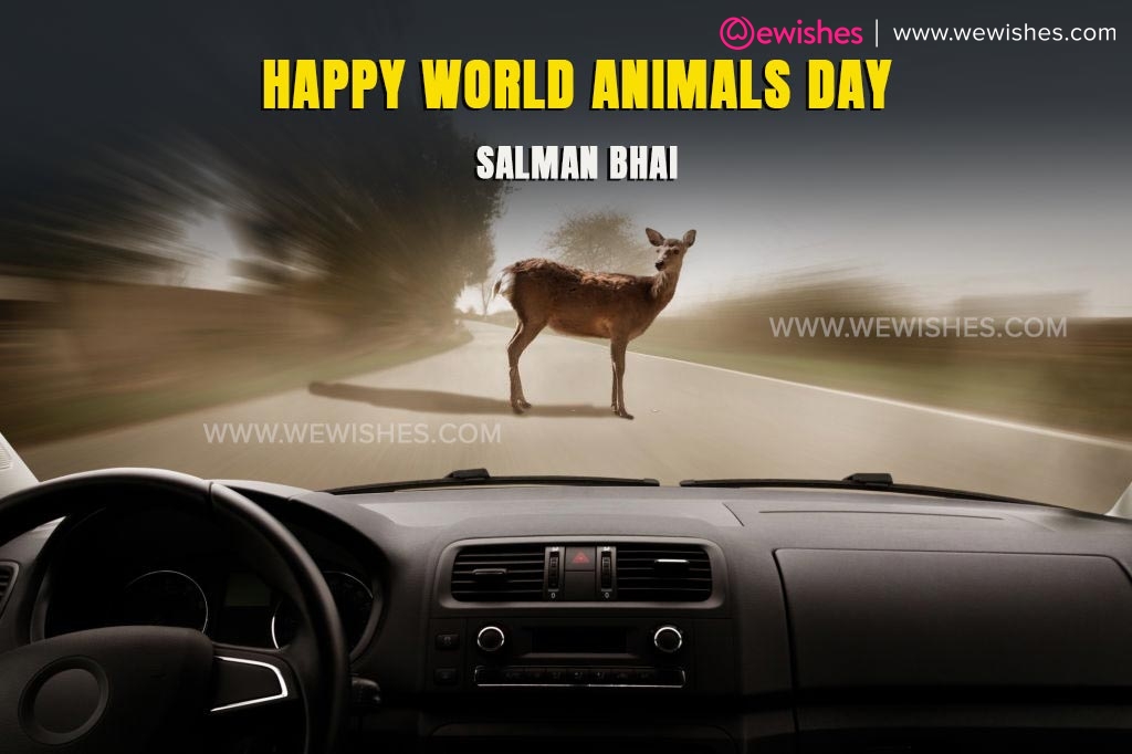 Happy World Animals Day Salman Khan
