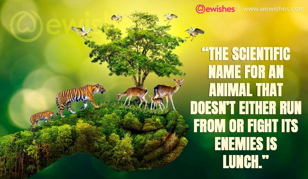 Cute World Animal Day Quotes