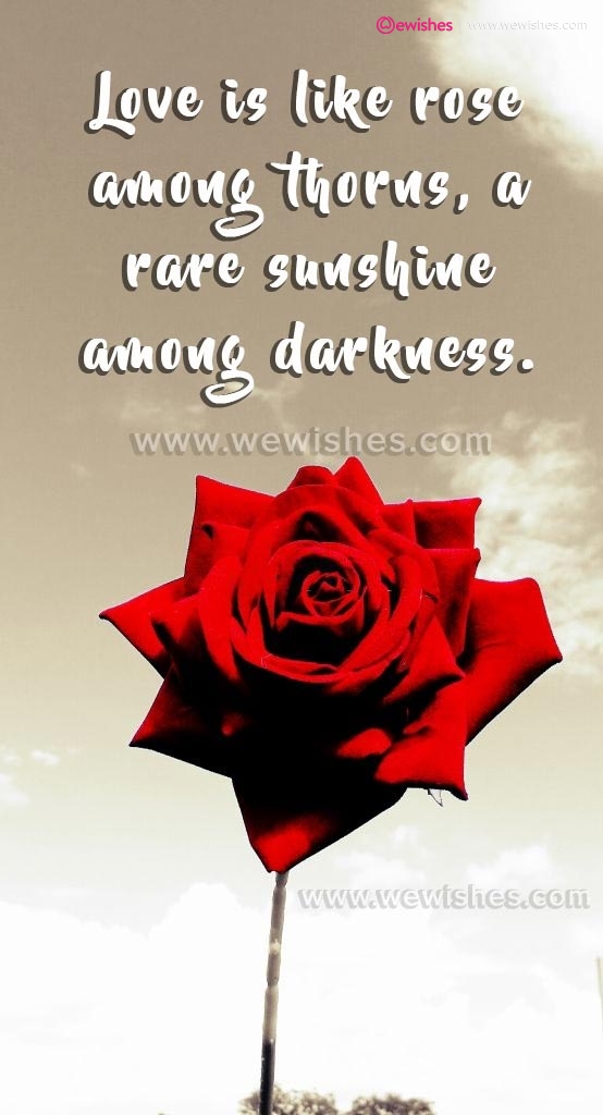 Rose Day Quotes