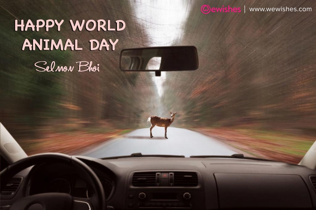 Happy world animal day Selmon bhoi