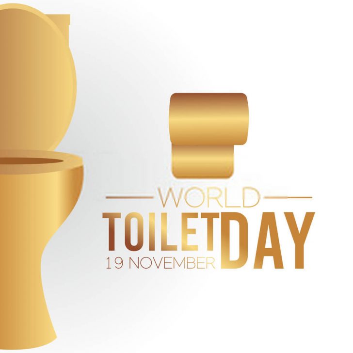 World Toilet Day Quotes Poster, Messages & Greetings We Wishes
