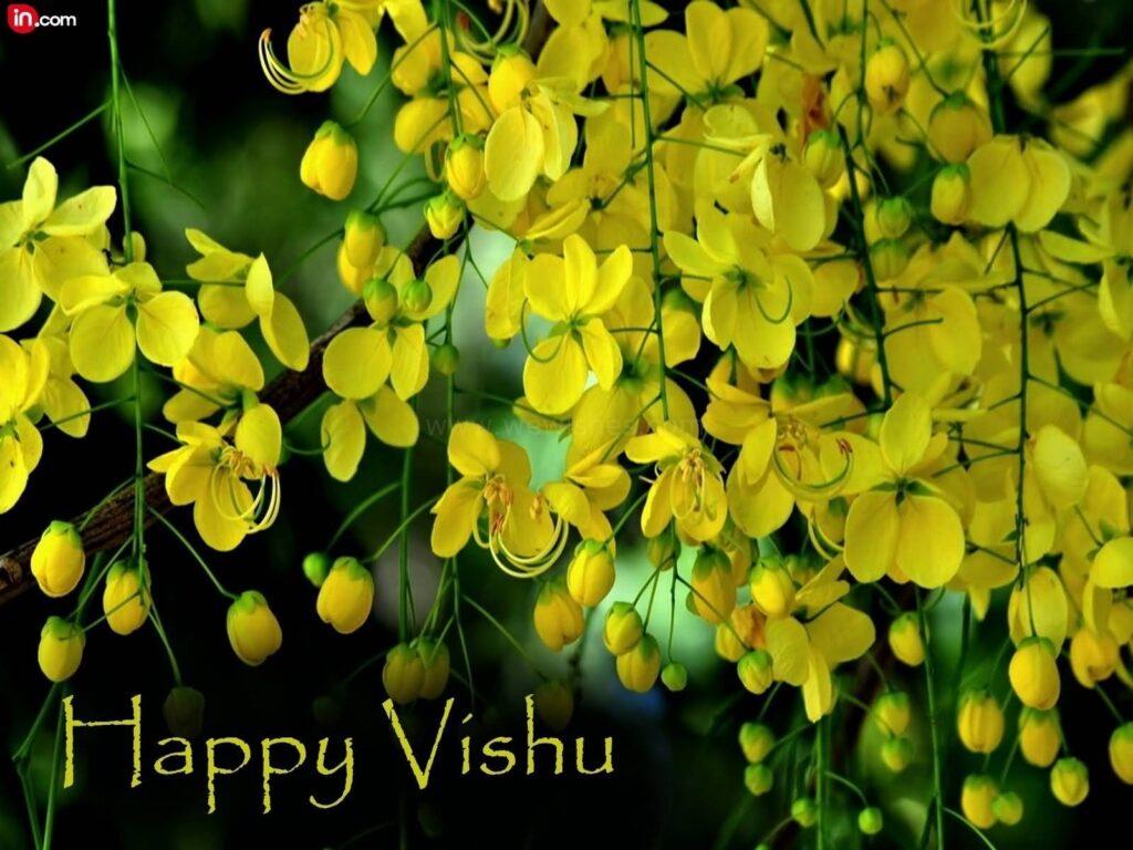 Happy Vishu Bihu 2022 quotes