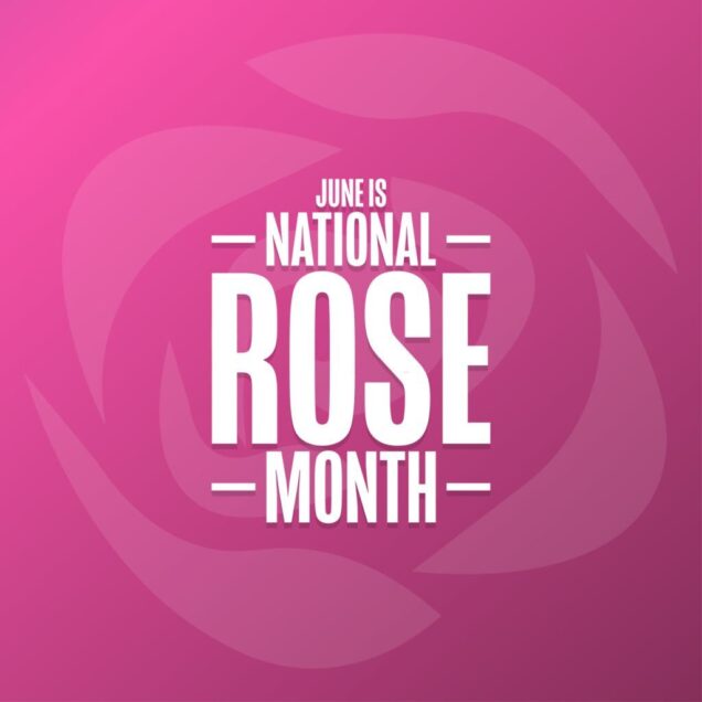 National Rose Day Wishes, Quotes, Images, Posters, Greetings, Messages