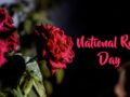 National Rose Day Wishes