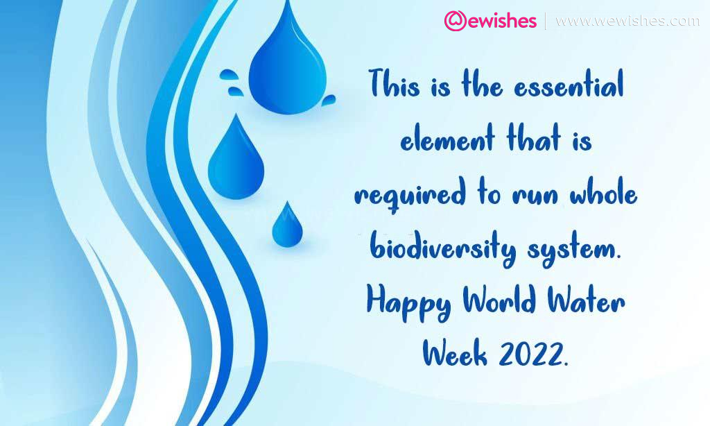 World Water Week 1