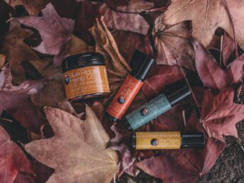 flat lay photography of several product bottles on withered leaves