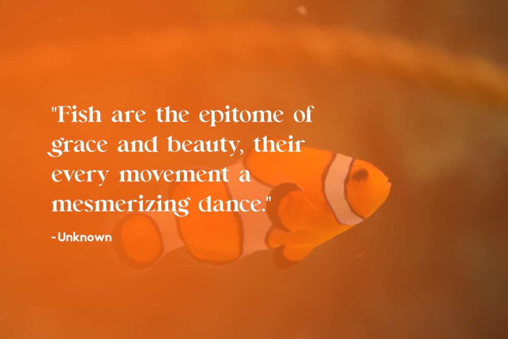 Exploring The Wonders Of The Sea Inspiring Fish Quotes We Wishes exploring-the-wonders-of-the-sea-inspiring-fish-quotes-we-wishes