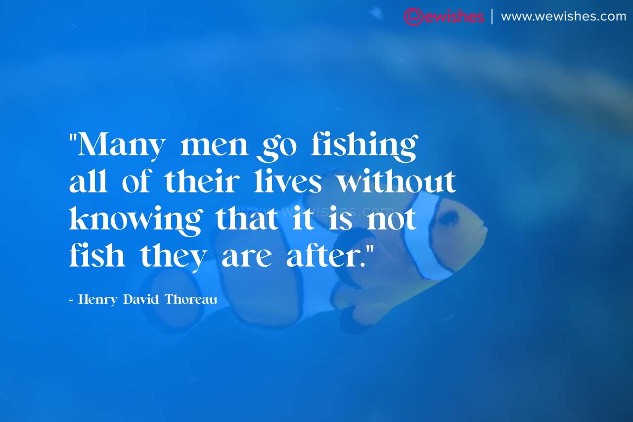 Exploring the Wonders of the Sea Inspiring Fish Quotes We Wishes