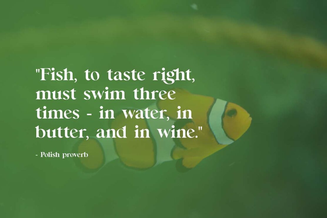 Exploring the Wonders of the Sea: Inspiring Fish Quotes – We Wishes