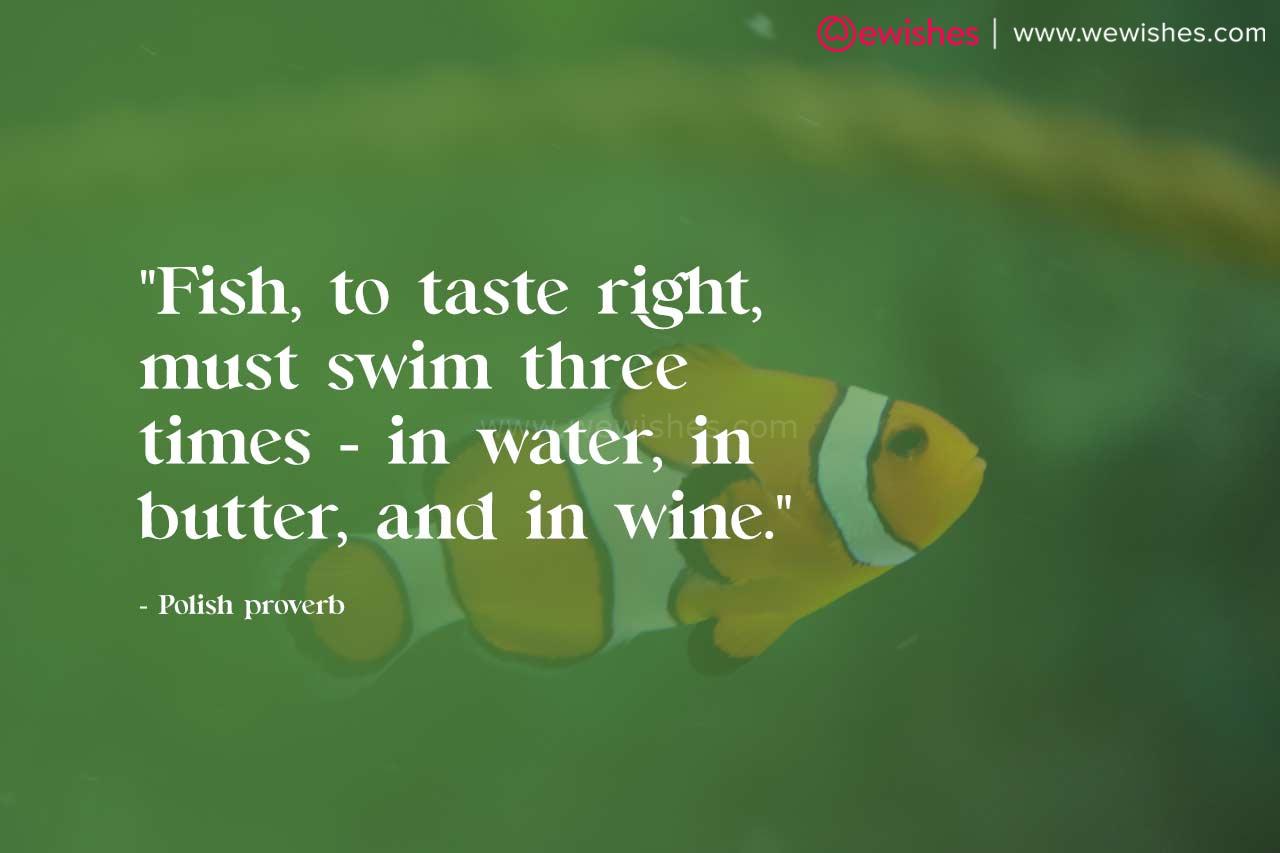 Fishy Quotes Exploring the Wonders of the Sea: Inspiring Fish Quotes – We Wishes