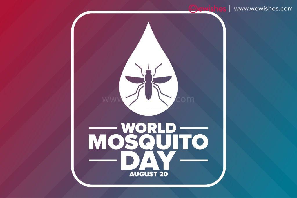 Initiatives and Activities on World Mosquito Day 2023